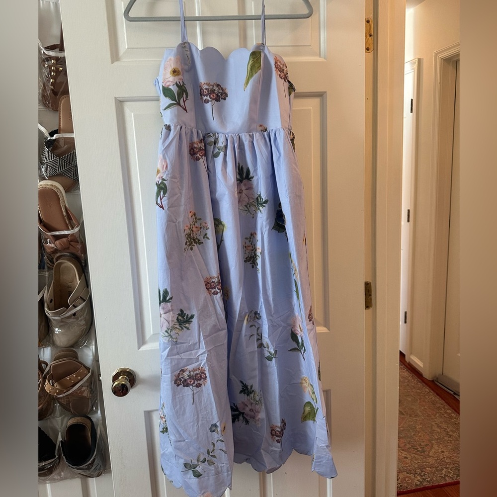 Red Dress Boutique Light Blue Floral Cotton Midi Dress